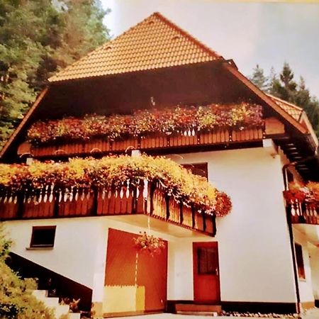 Ferienwohungen Im Kuchersbach Hornberg Exteriör bild