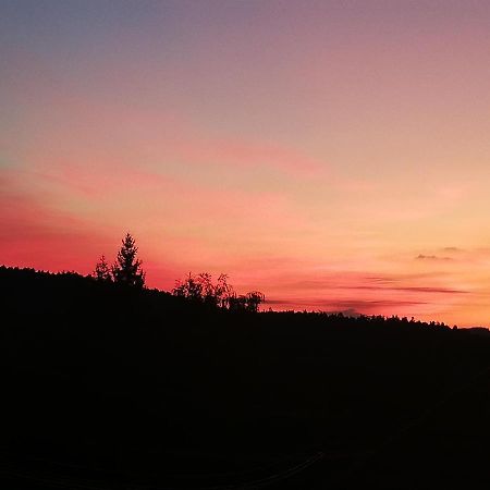 Ferienwohungen Im Kuchersbach Hornberg Exteriör bild