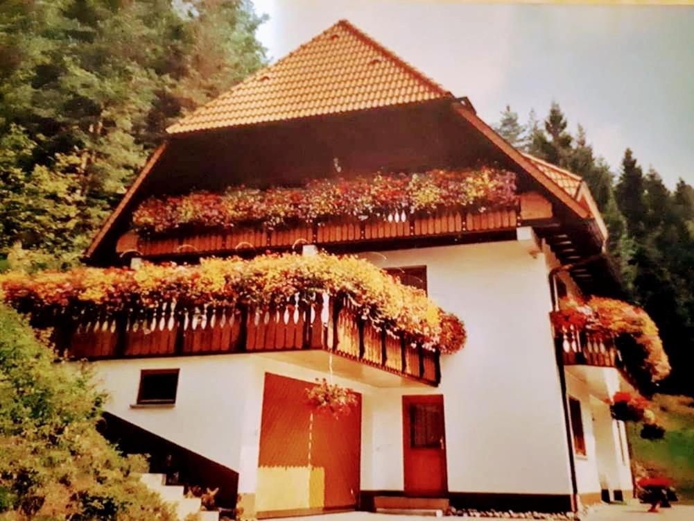Ferienwohungen Im Kuchersbach Hornberg Exteriör bild