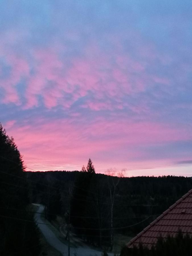 Ferienwohungen Im Kuchersbach Hornberg Exteriör bild