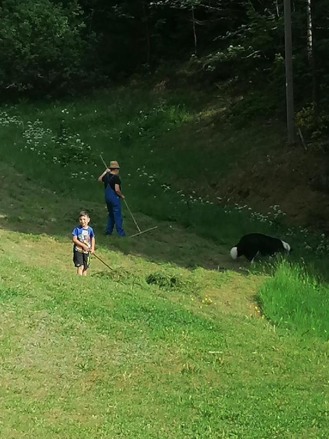 Ferienwohungen Im Kuchersbach Hornberg Exteriör bild