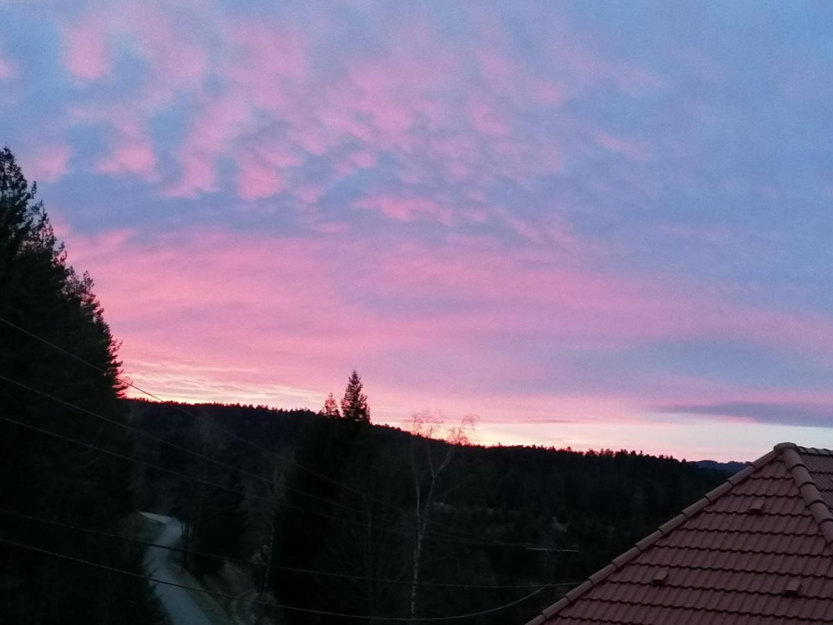 Ferienwohungen Im Kuchersbach Hornberg Exteriör bild