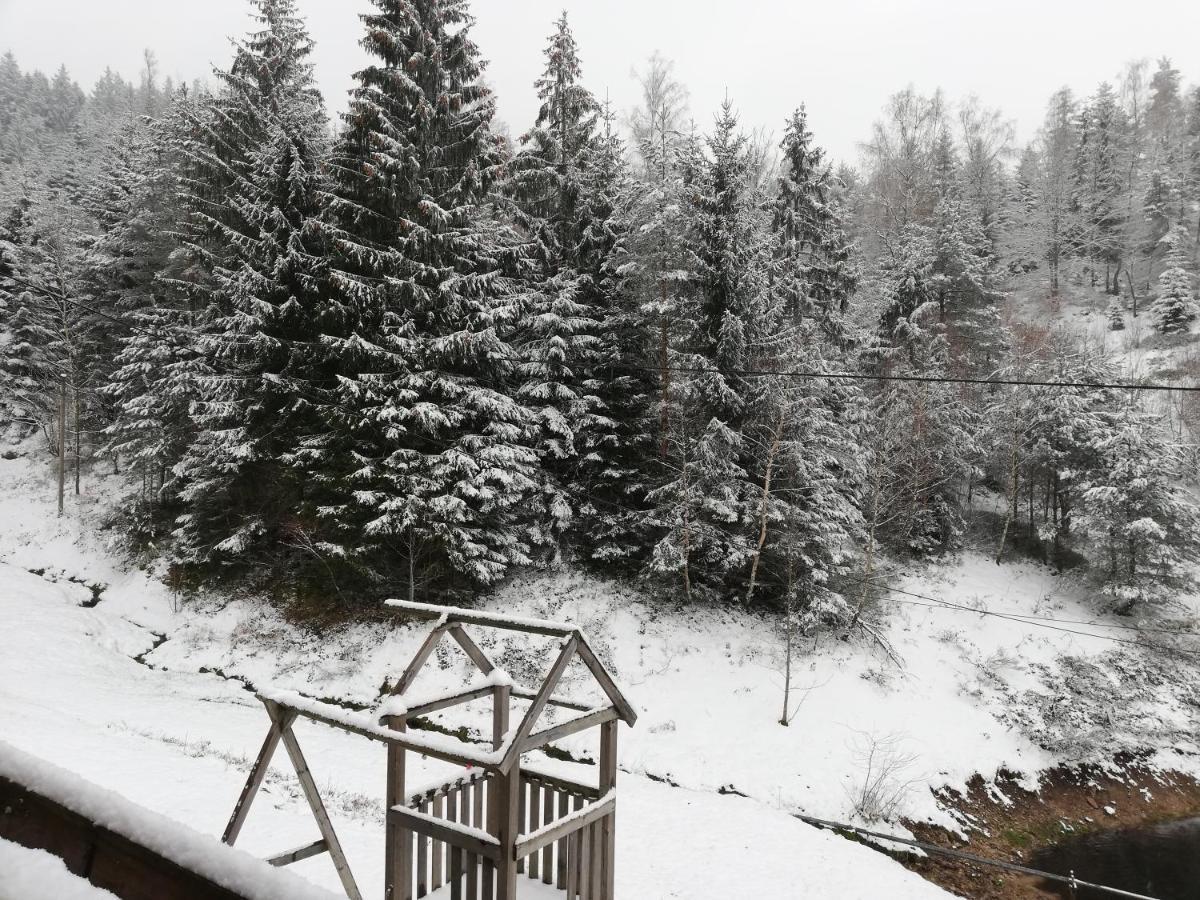 Ferienwohungen Im Kuchersbach Hornberg Exteriör bild