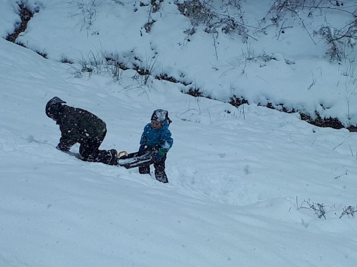 Ferienwohungen Im Kuchersbach Hornberg Exteriör bild